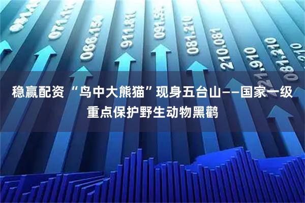 稳赢配资 “鸟中大熊猫”现身五台山——国家一级重点保护野生动物黑鹳