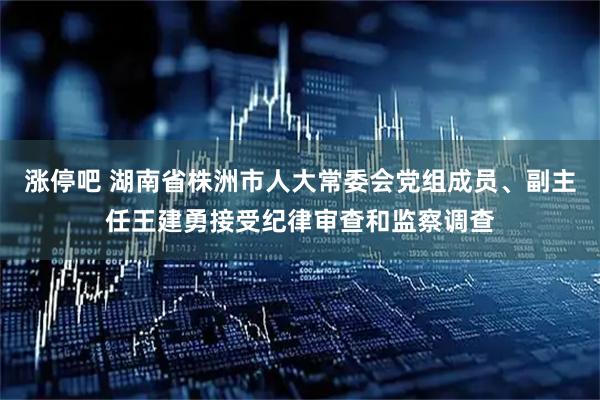 涨停吧 湖南省株洲市人大常委会党组成员、副主任王建勇接受纪律审查和监察调查
