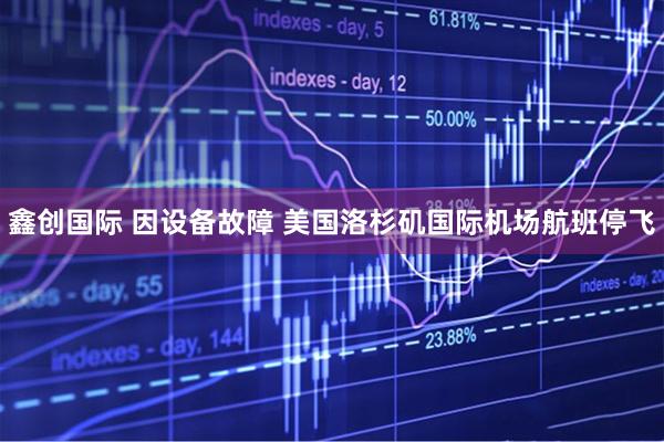 鑫创国际 因设备故障 美国洛杉矶国际机场航班停飞