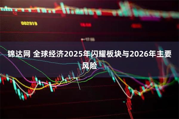 锦达网 全球经济2025年闪耀板块与2026年主要风险