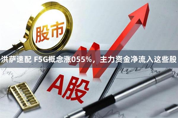 洪萨速配 F5G概念涨055%，主力资金净流入这些股
