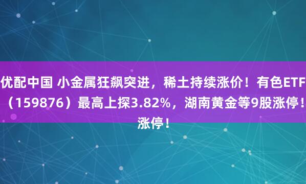 优配中国 小金属狂飙突进，稀土持续涨价！有色ETF（159876）最高上探3.82%，湖南黄金等9股涨停！