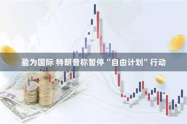 盈为国际 特朗普称暂停“自由计划”行动